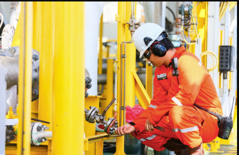 Ensuring Trustworthy Insights Through Pipeline Visibility